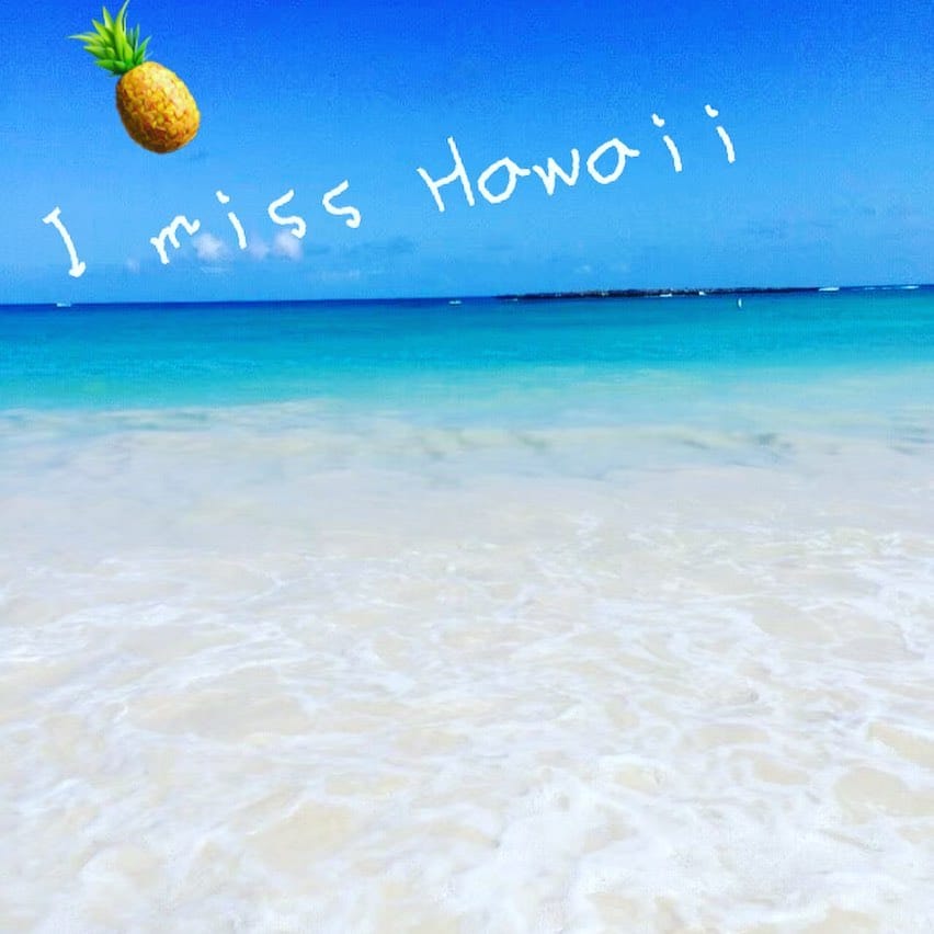 Post 8 by miko_love_the_sea on Instagram (carousel)