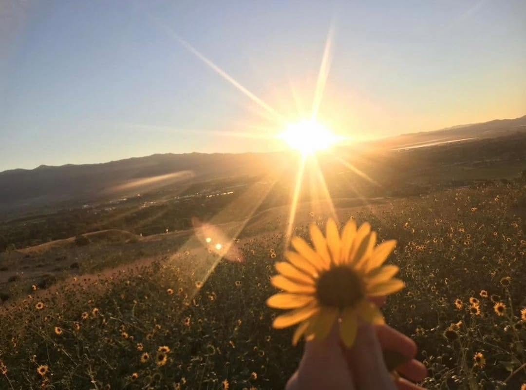 Post 10 by Cache Valley Utah on Instagram (image)