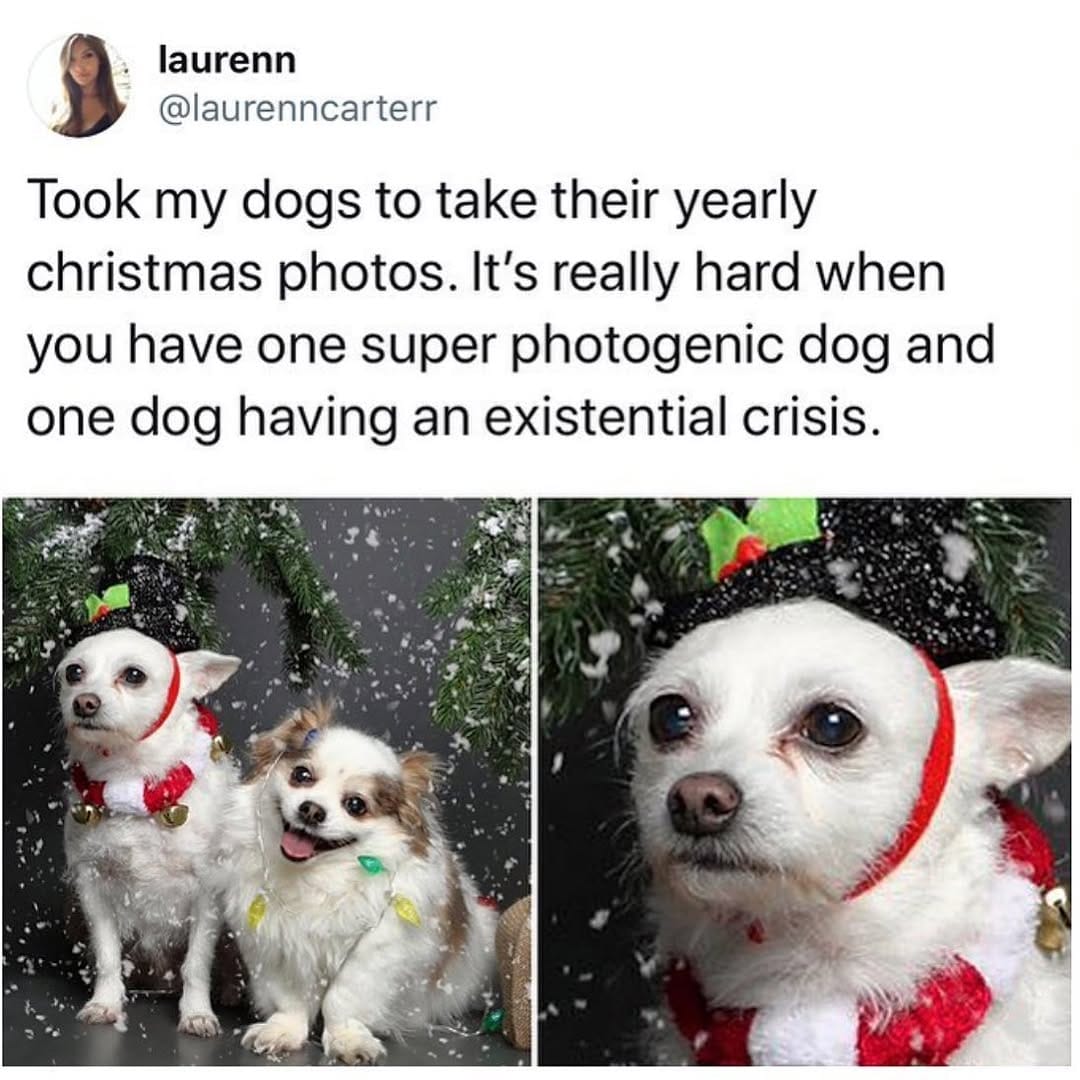 Post 2 by @thetipsycat on Instagram (image)