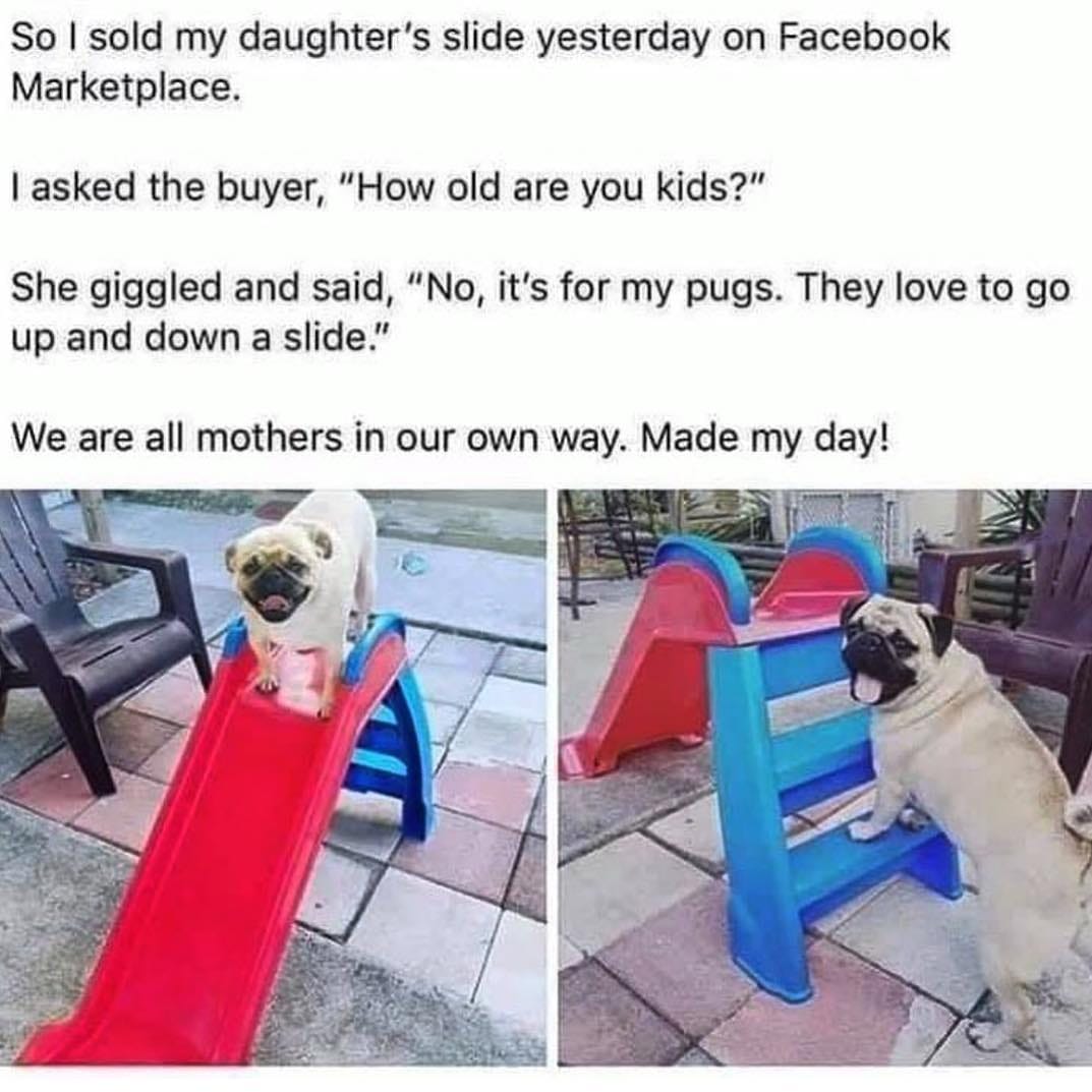 Post 9 by @thetipsycat on Instagram (image)