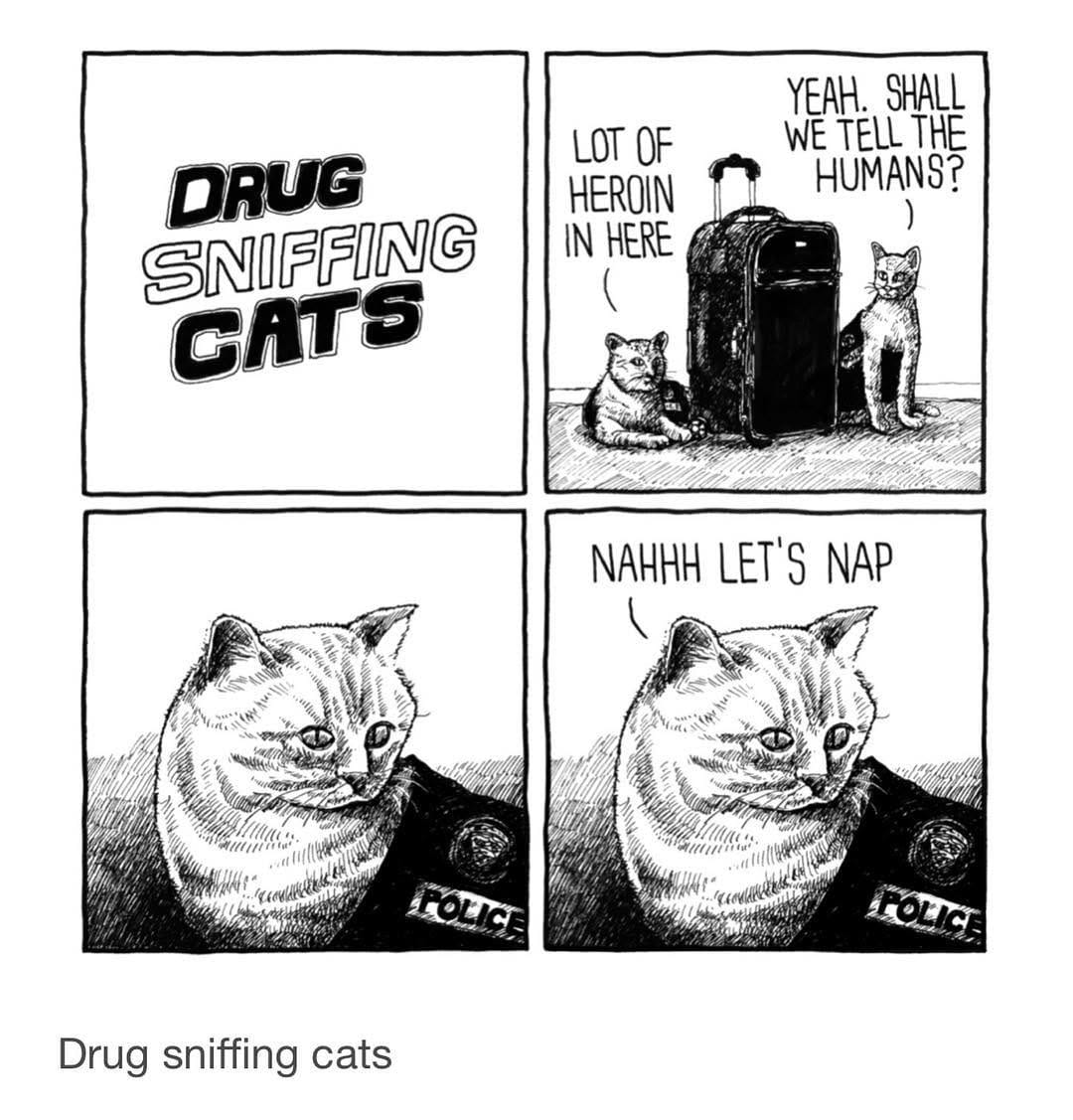 Post 10 by @thetipsycat on Instagram (image)