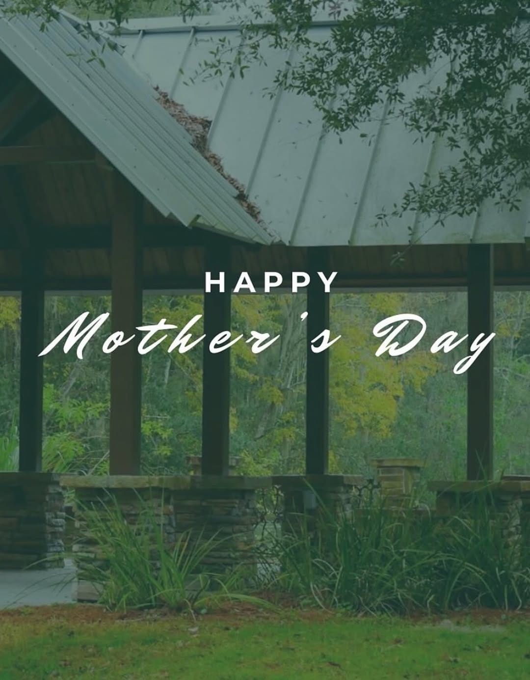 Post 8 by Jacksonville Arboretum & Botanical Gardens on Instagram (image)