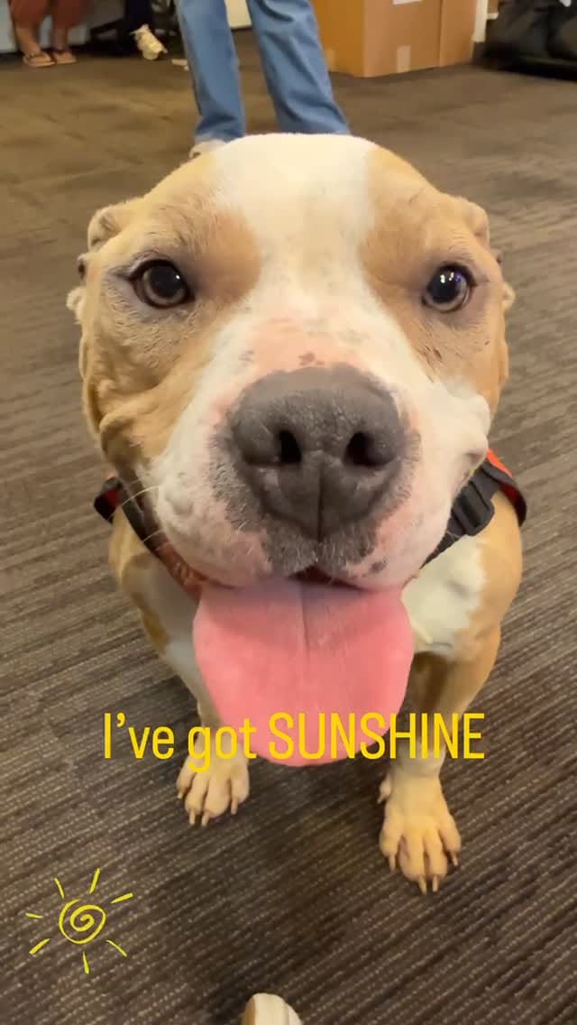 Post 2 by ACCT Philly on Instagram (video)