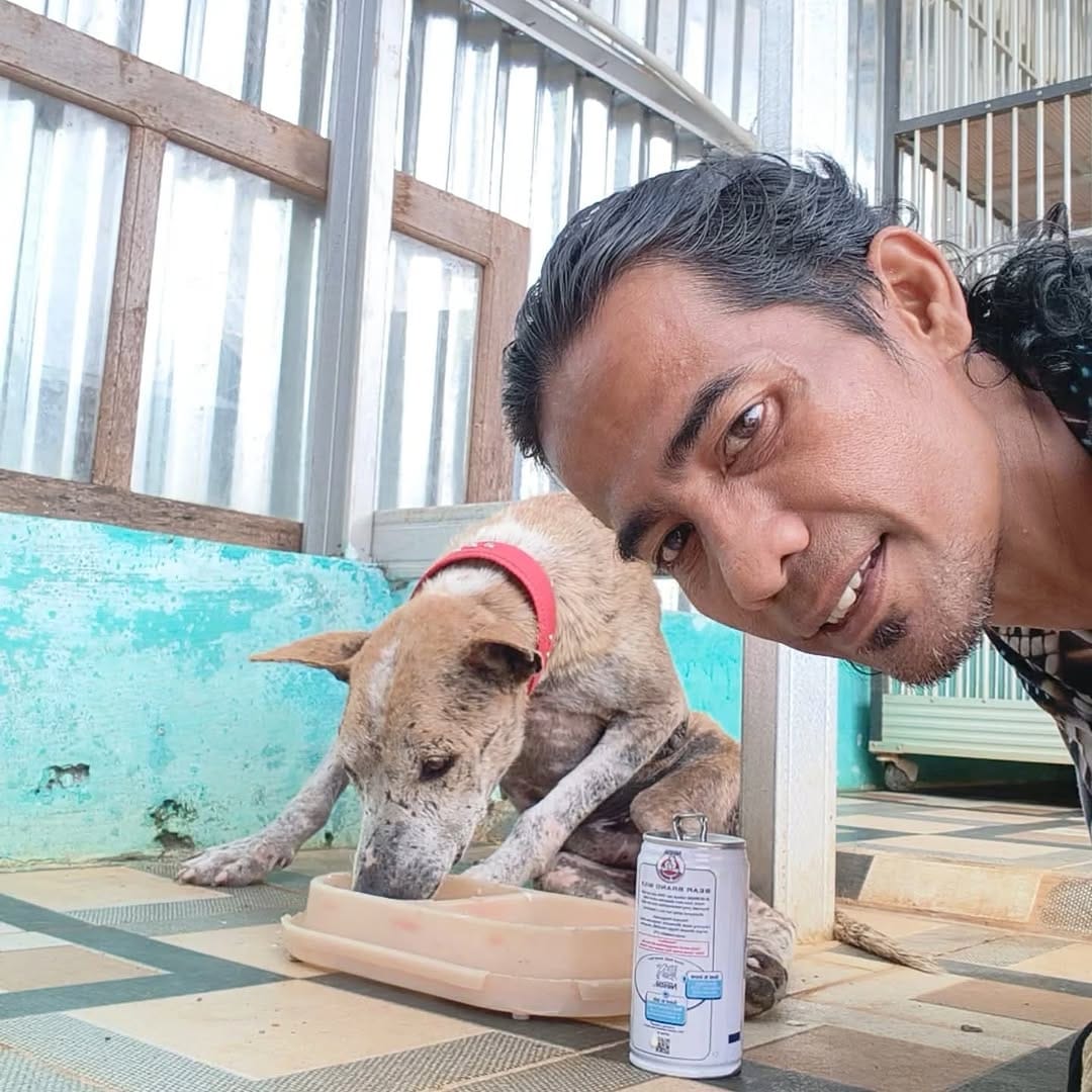 Post 10 by Kucing juga manusia on Instagram (carousel)