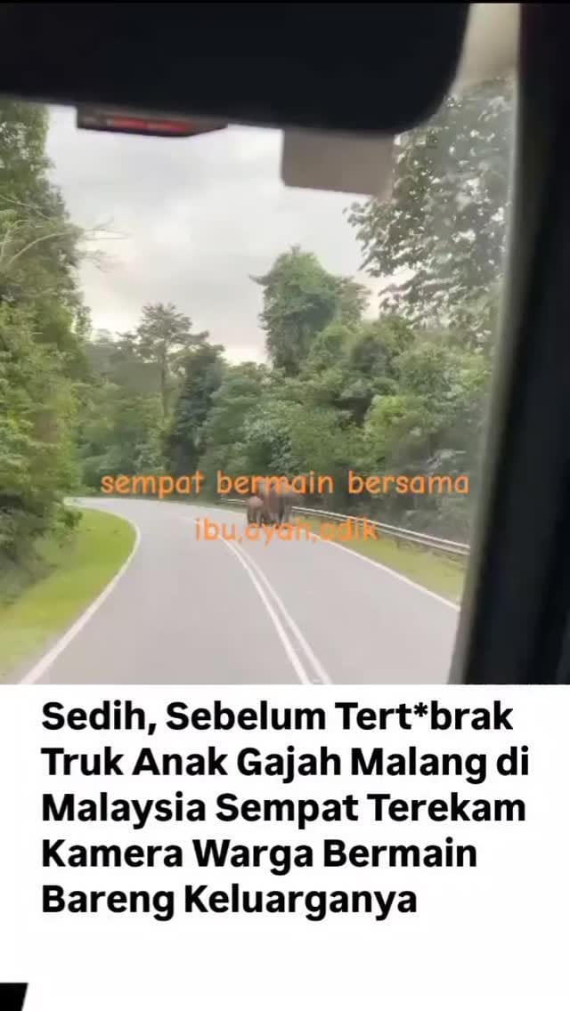 Post 6 by PROMO PAID PROMOTE on Instagram (video)
