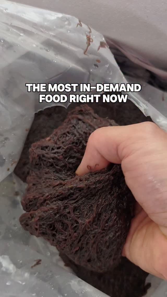 Post 5 by New Life Aquarium on Instagram (video)