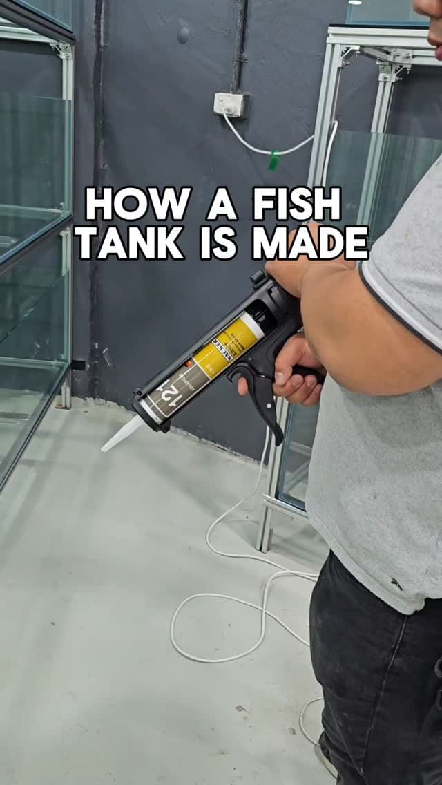 Post 3 by New Life Aquarium on Instagram (video)