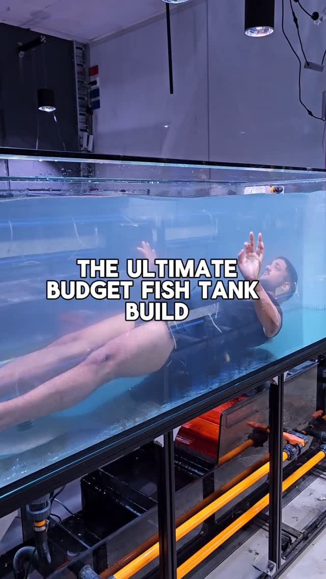 Post 2 by New Life Aquarium on Instagram (video)
