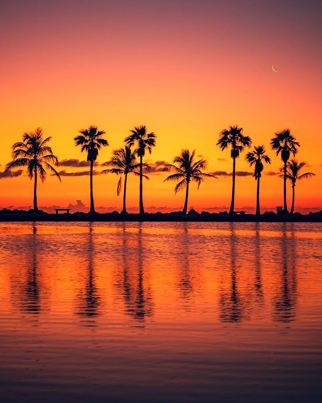 Post 3 by TopMiamiPhoto on Instagram (image)