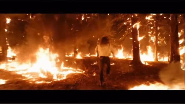 Post 4 by Cøya on Instagram (video)
