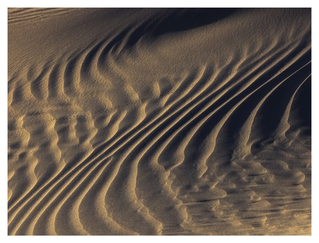 Post 3 by TJ Thorne on Instagram (image)