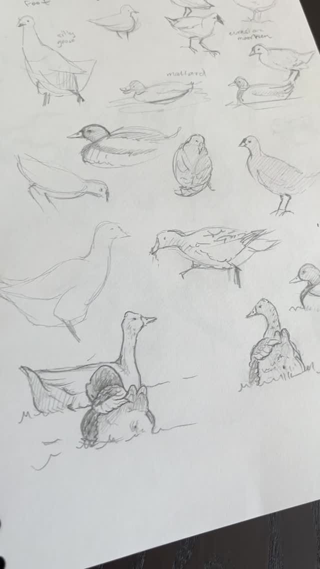 Post 3 by Danika Ostrowski on Instagram (video)