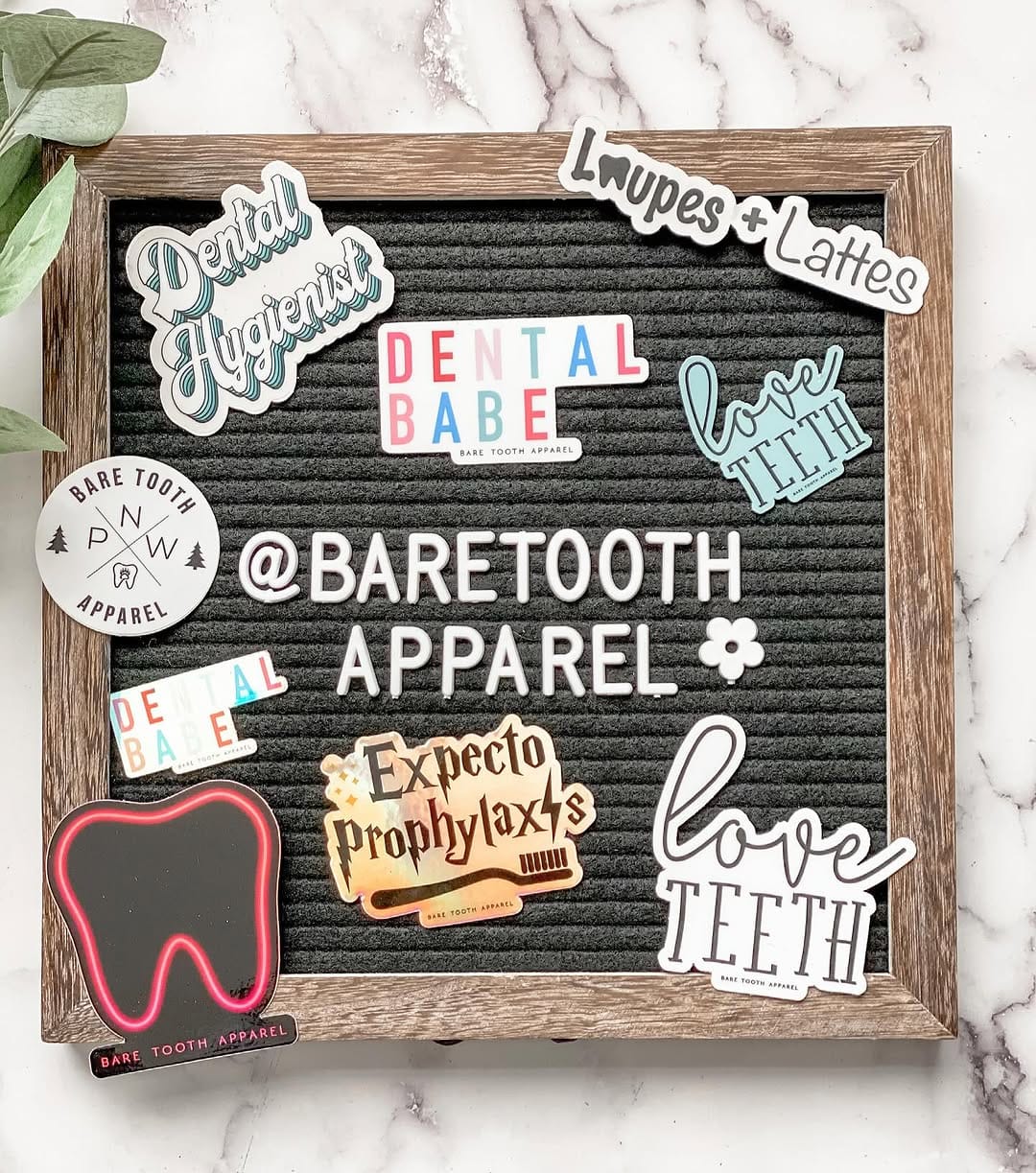 Post 8 by Bare Tooth Apparel on Instagram (image)