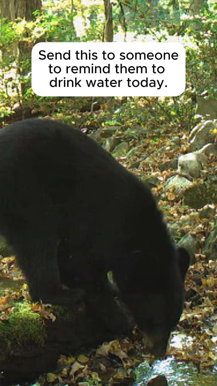 Post 8 by The Nature Conservancy In NJ on Instagram (video)