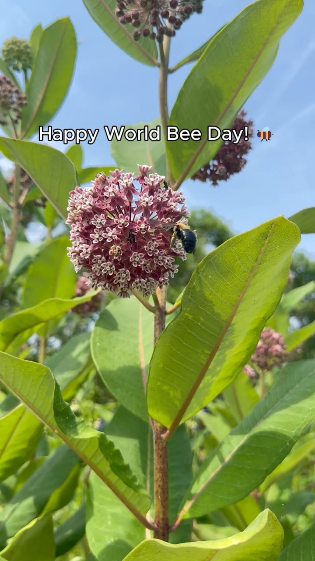 Post 7 by The Nature Conservancy In NJ on Instagram (video)