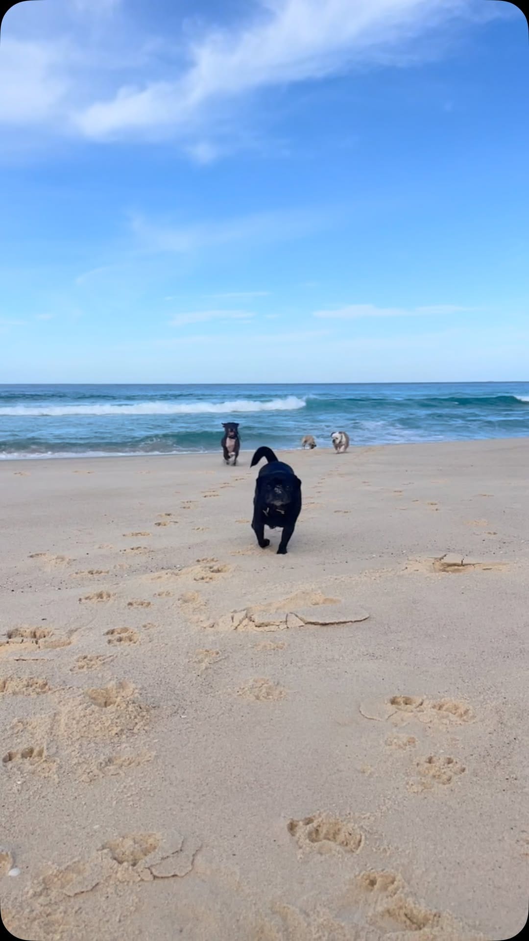 Post 7 by Lurch on Instagram (video)
