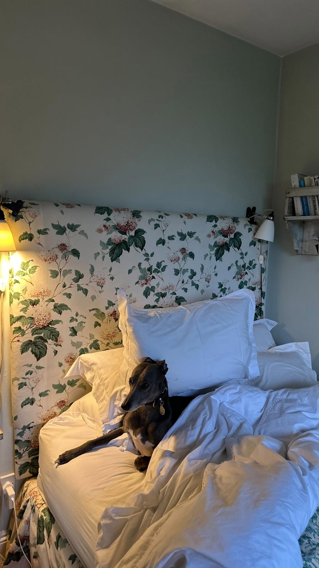 Post 9 by Catherine St Germans on Instagram (video)