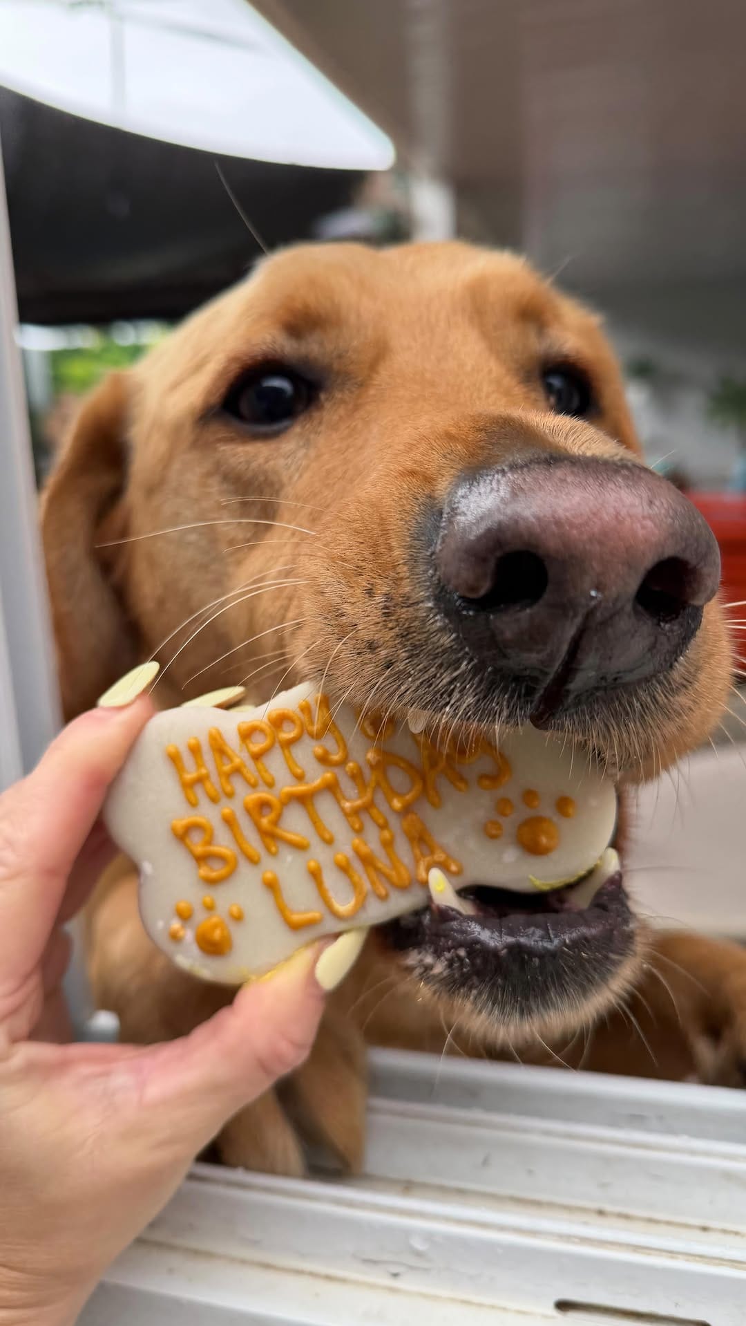 Post 5 by Willow’s Pantry® on Instagram (video)