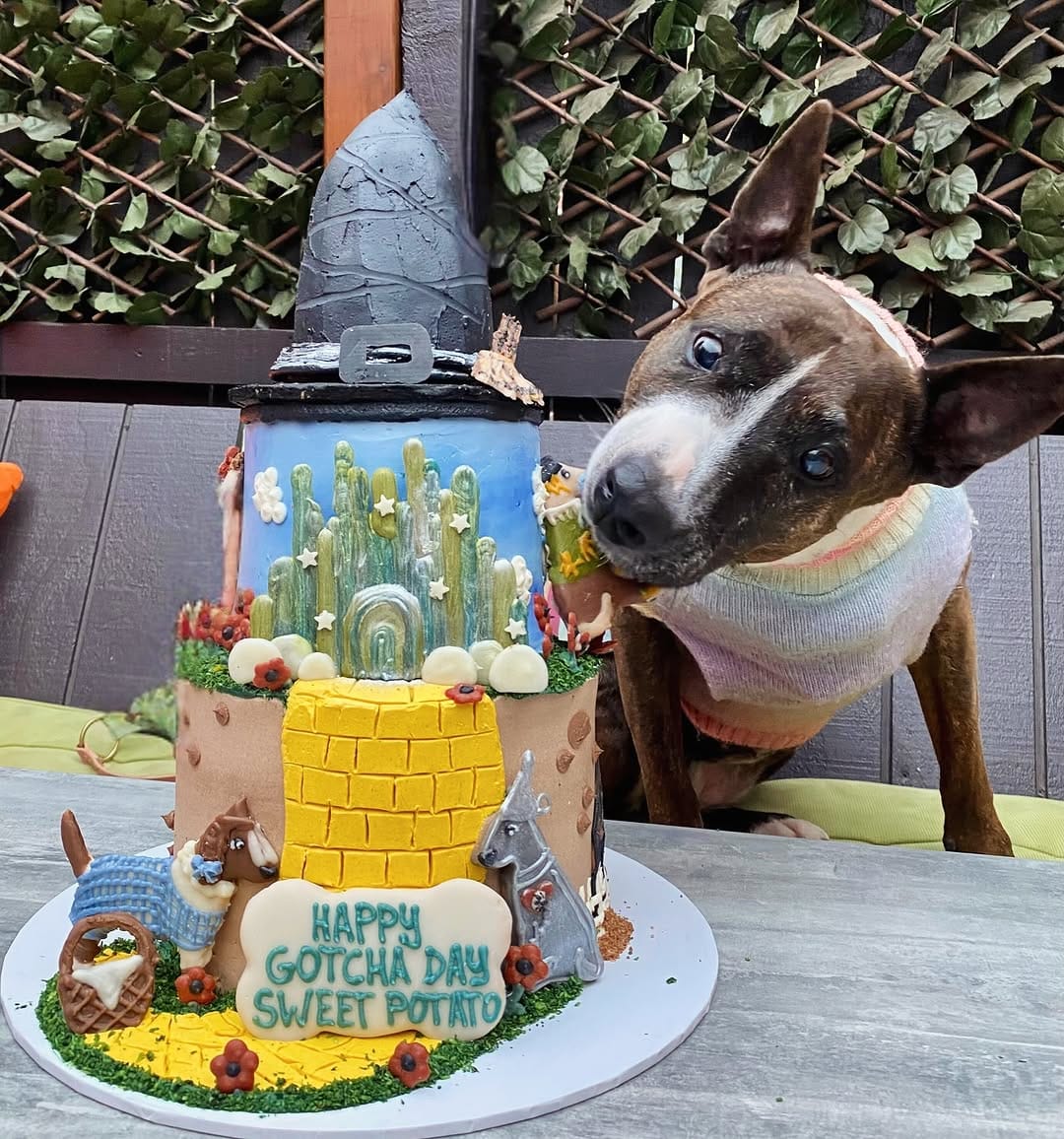 Post 9 by Willow’s Pantry® on Instagram (carousel)