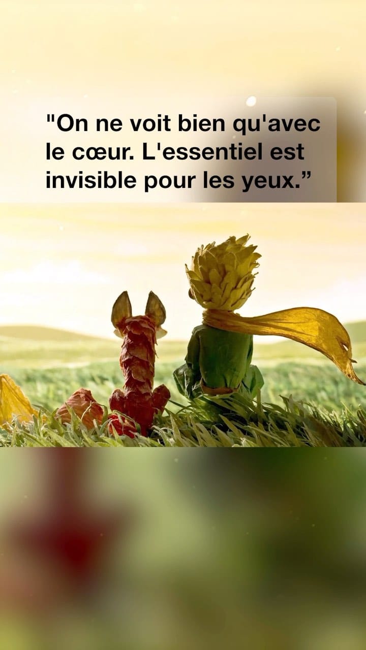 Post 7 by Encore French Lessons on Instagram (video)