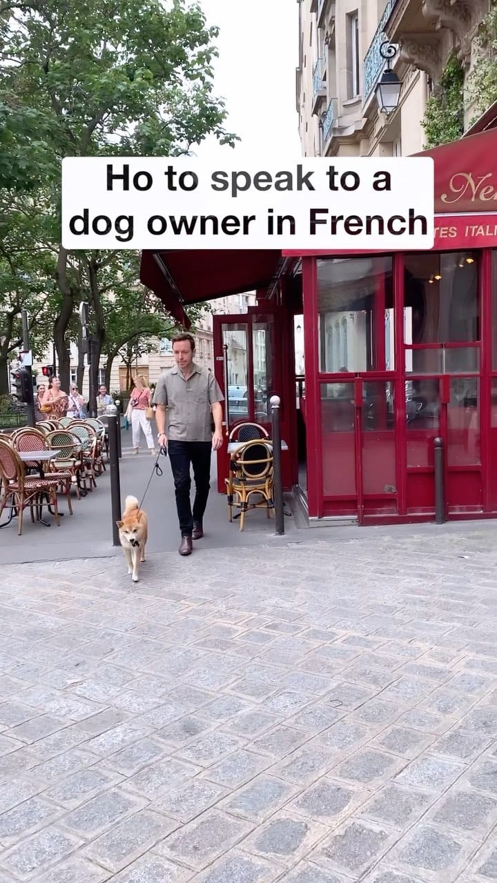 Post 4 by Encore French Lessons on Instagram (video)