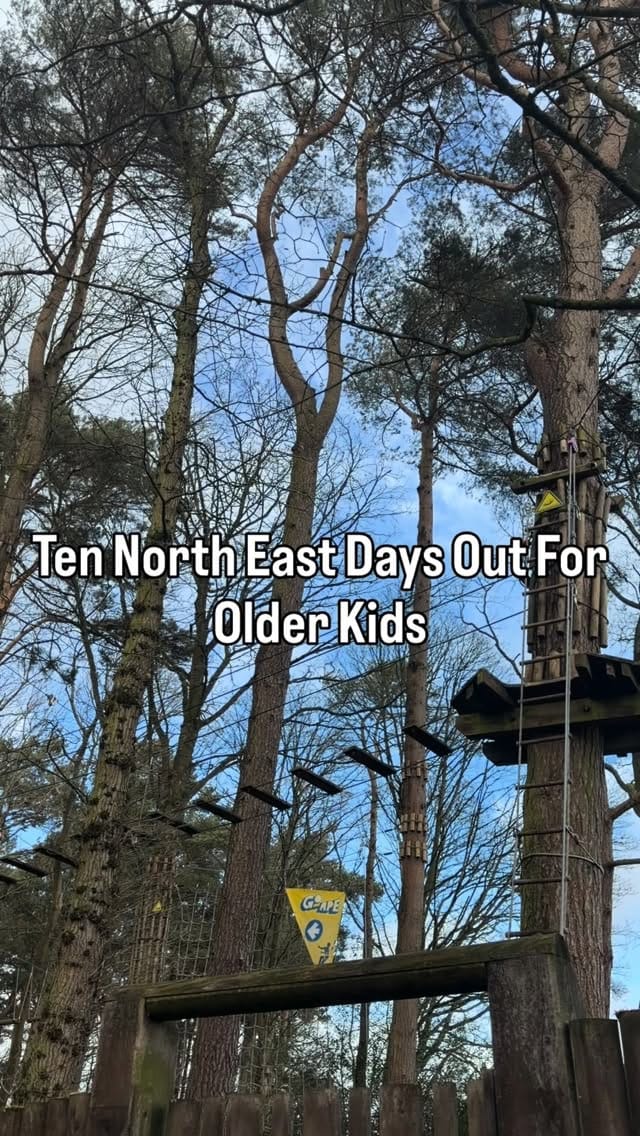 Post 4 by Newcastle Family Life on Instagram (video)