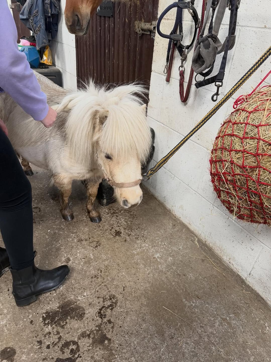 Post 8 by Newcastle Family Life on Instagram (carousel)