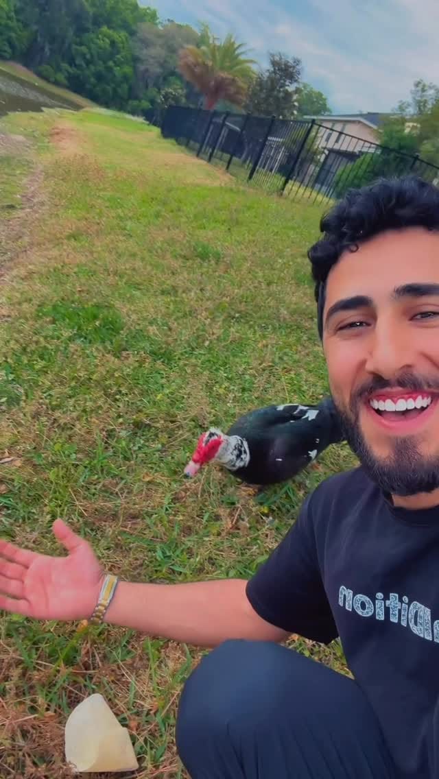 Post 5 by محمد اللباد on Instagram (video)