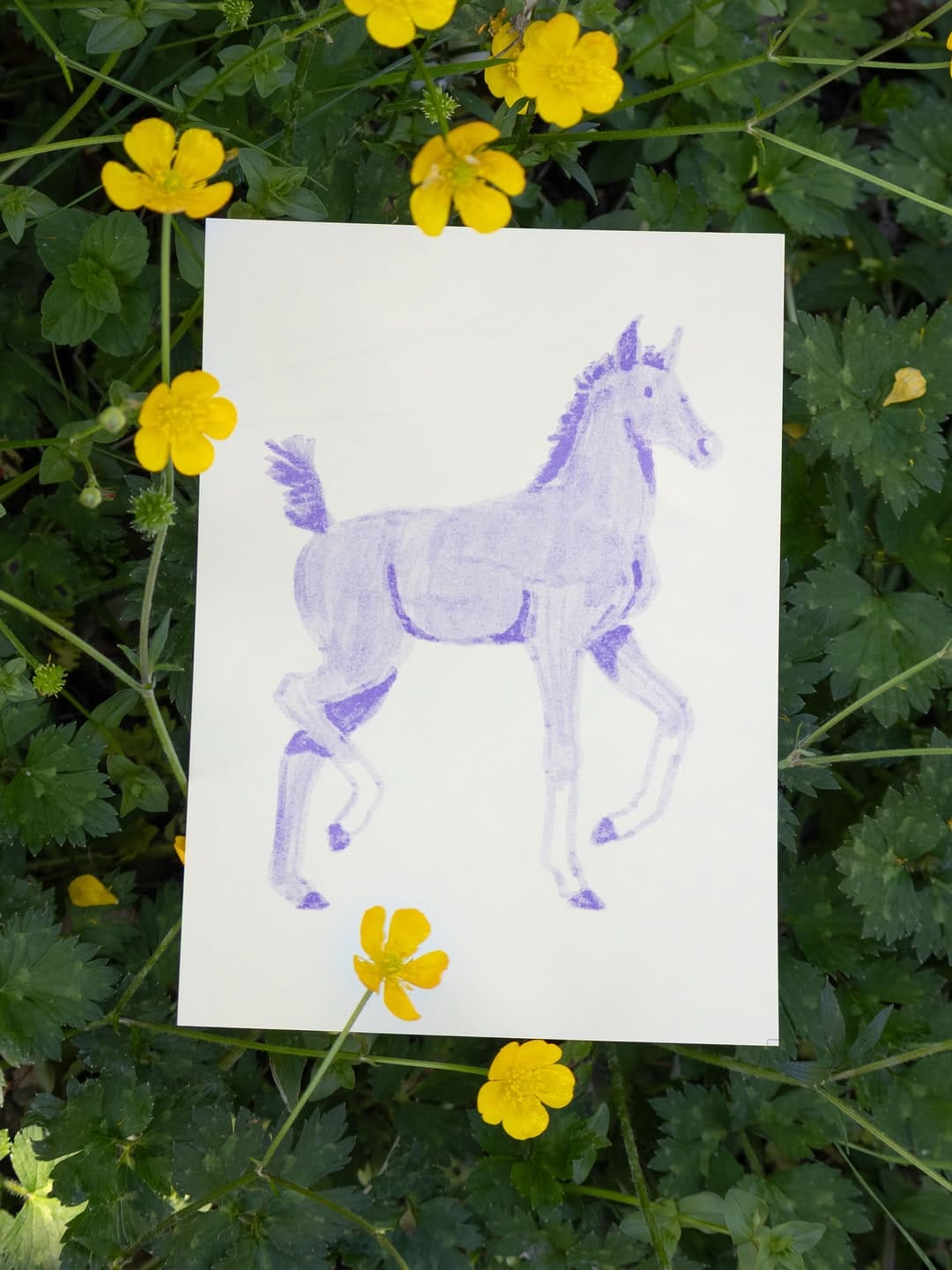 Post 1 by Kaila Elders on Instagram (carousel)