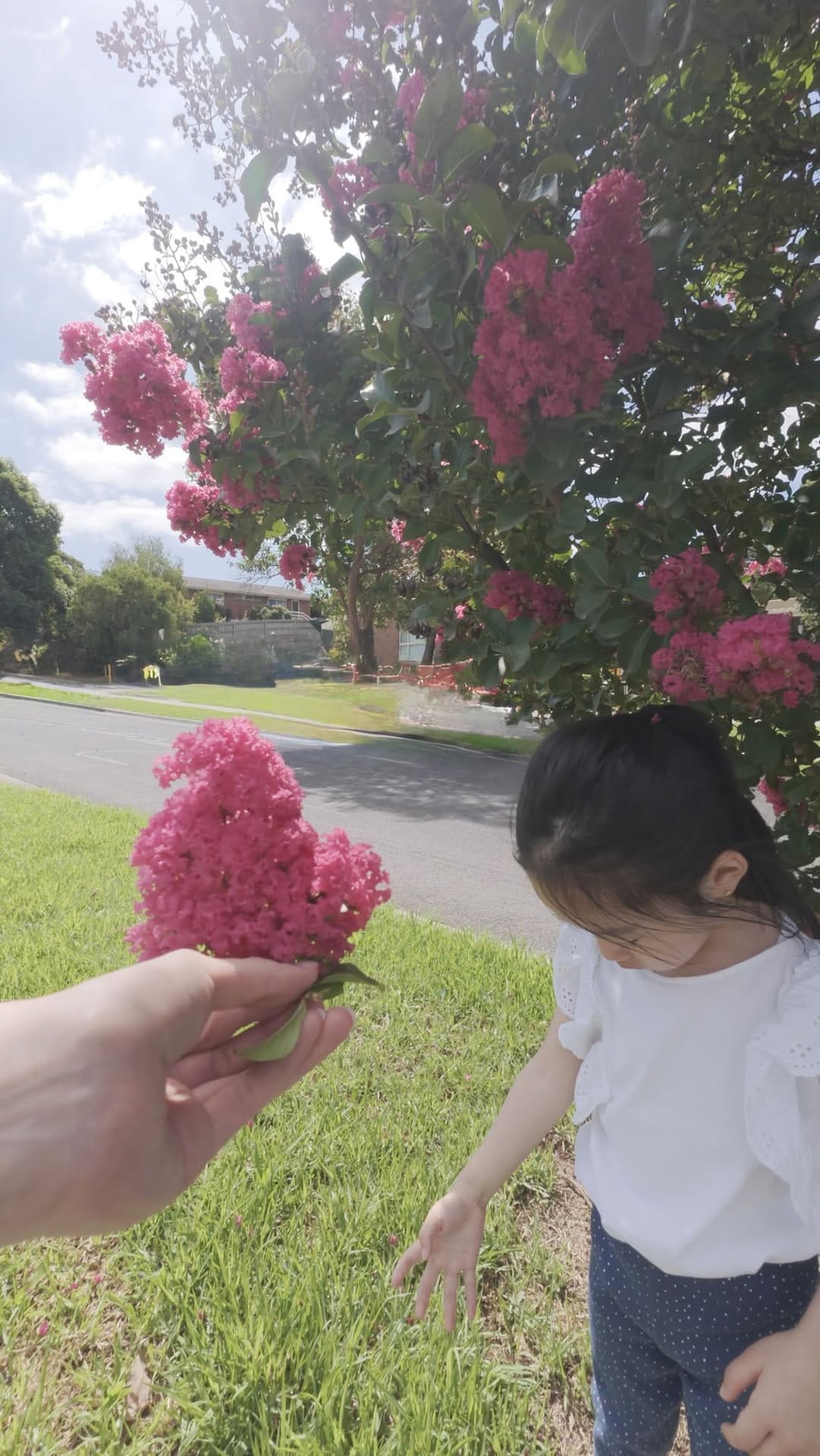 Post 7 by Mega Ng on Instagram (video)