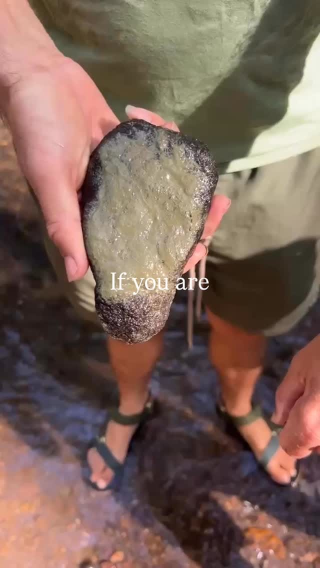 Post 8 by Wildlings Forest School on Instagram (video)