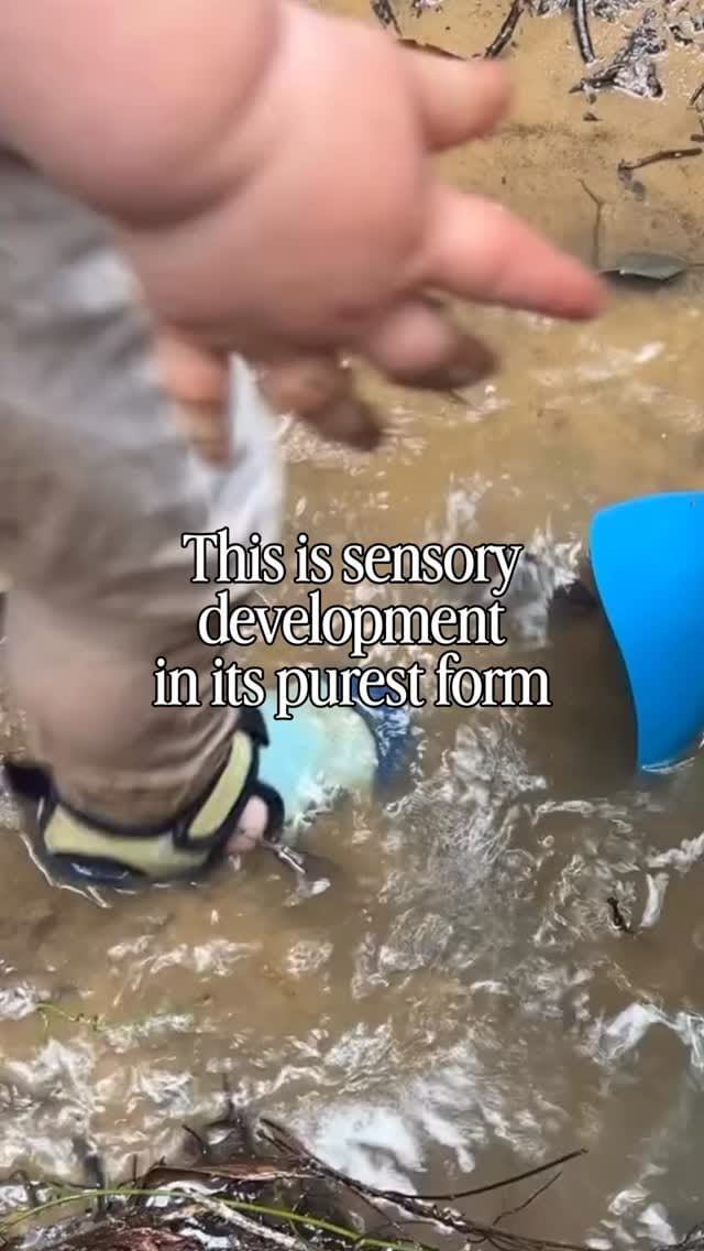 Post 2 by Wildlings Forest School on Instagram (video)