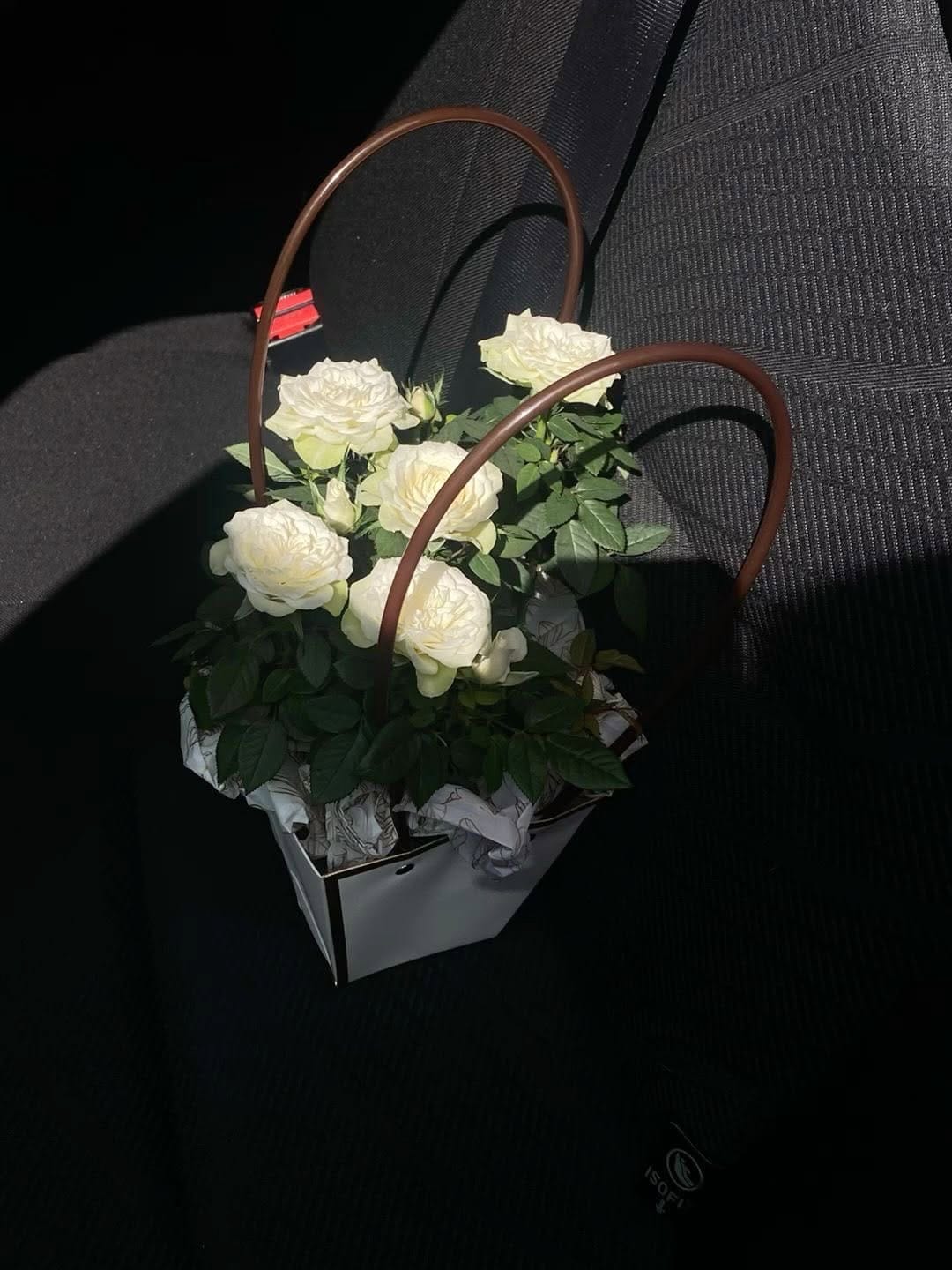 Post 1 by 𝓐𝓻𝓫𝓾𝓭𝓾 𝓢. | سليمة | on Instagram (carousel)