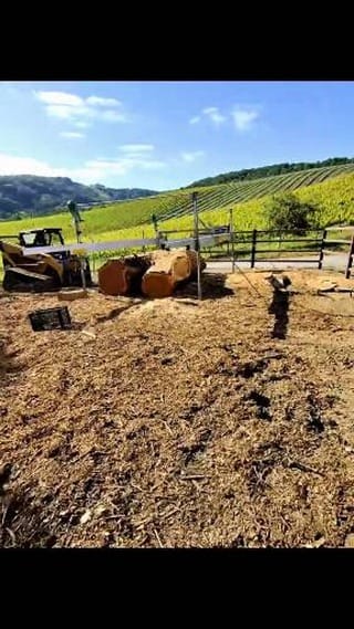 Post 5 by Deadwood Revival Design on Instagram (video)