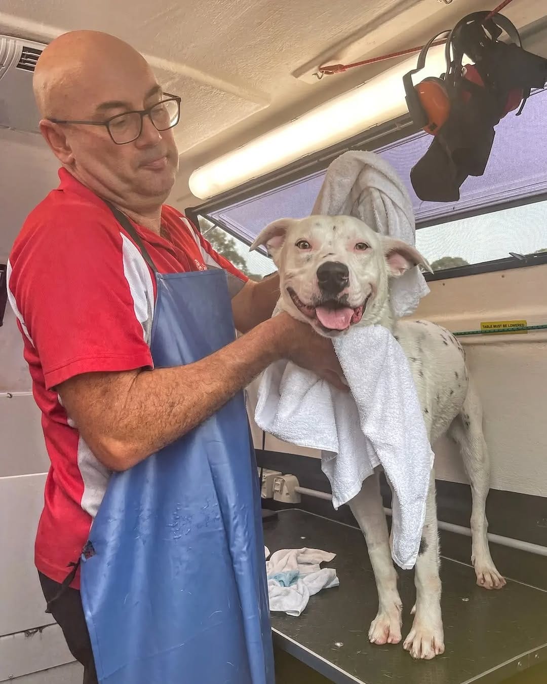 Post 6 by C.C Animal Care Facility on Instagram (carousel)