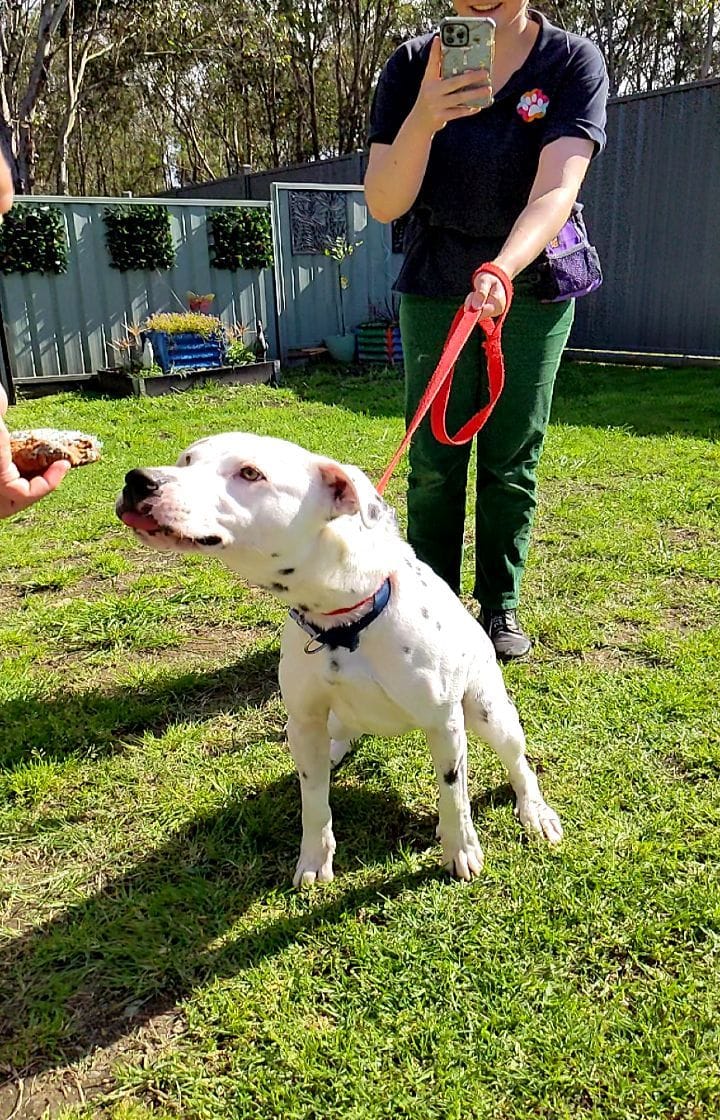 Post 7 by C.C Animal Care Facility on Instagram (video)