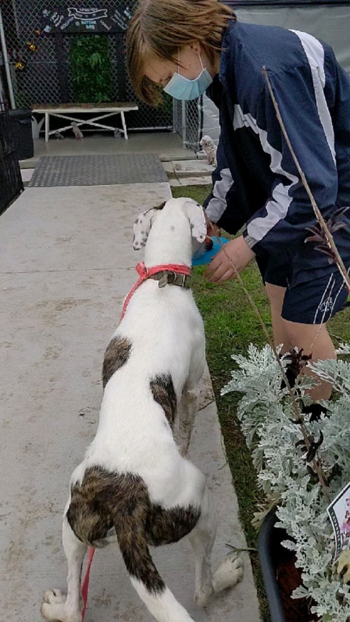 Post 5 by C.C Animal Care Facility on Instagram (carousel)