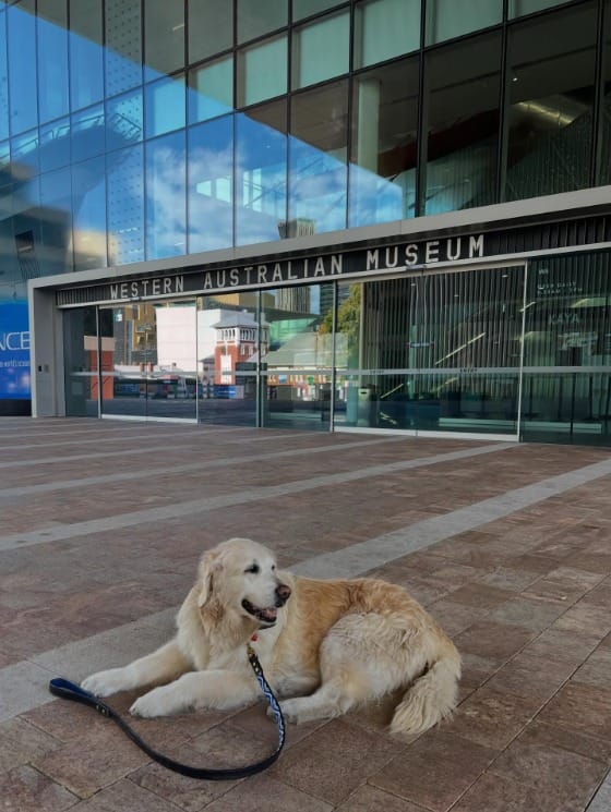 Post 2 by WA Museum on Instagram (image)