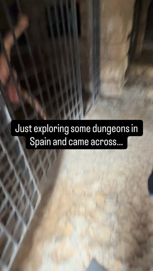 Post 5 by Kira Bucca on Instagram (video)