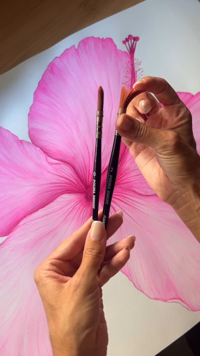 Post 9 by Cosette (aka Coco) on Instagram (video)