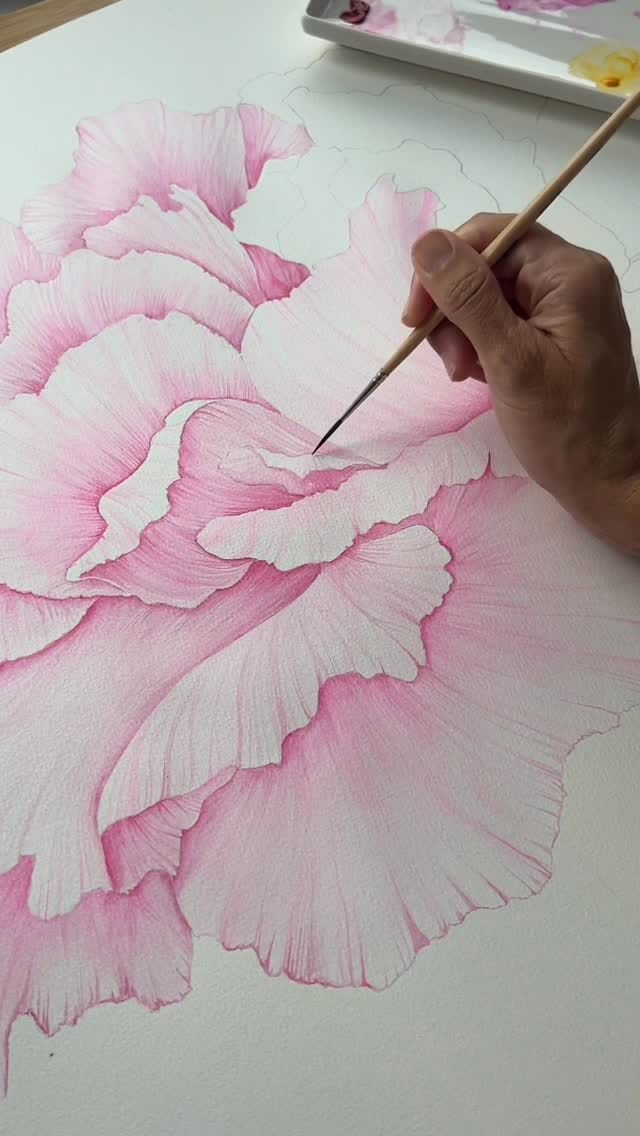 Post 2 by Cosette (aka Coco) on Instagram (video)