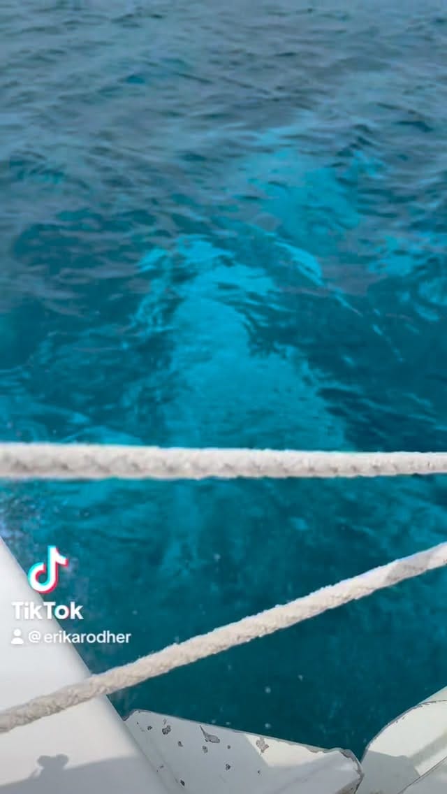 Post 2 by Erika Rodríguez on Instagram (video)
