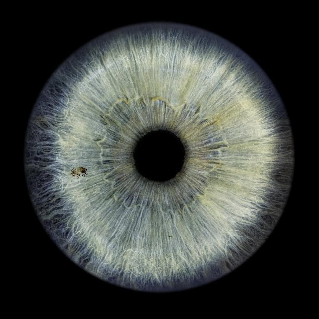 Post 4 by Morgan on Instagram (image)