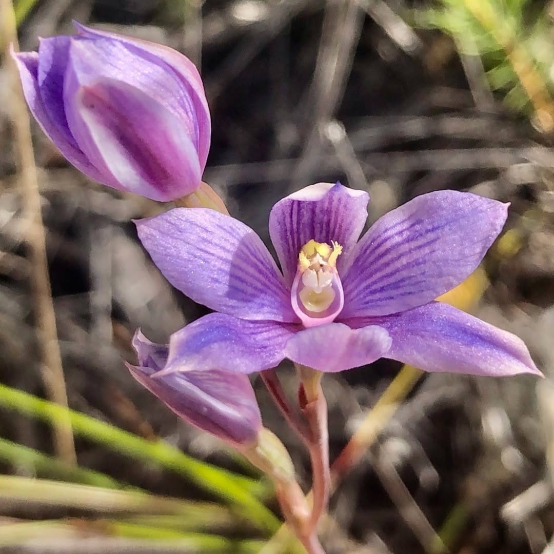 Post 1 by Jimmy Turner on Instagram (image)