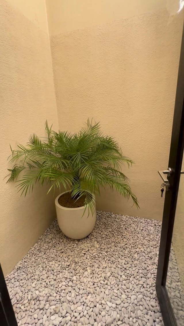 Post 3 by Bali Landscape & Indoor Plants 🌿 on Instagram (video)