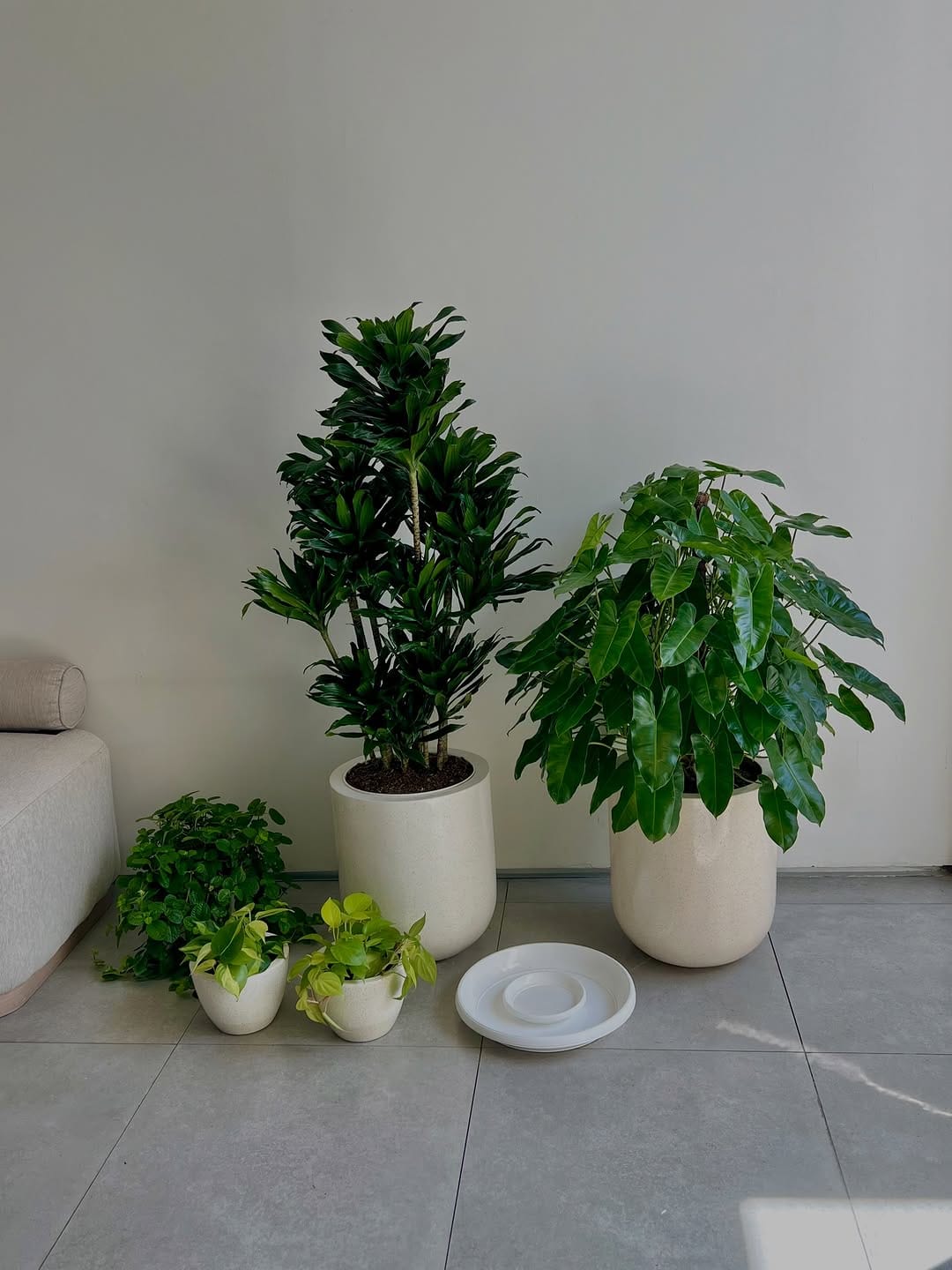 Post 6 by Bali Landscape & Indoor Plants 🌿 on Instagram (carousel)