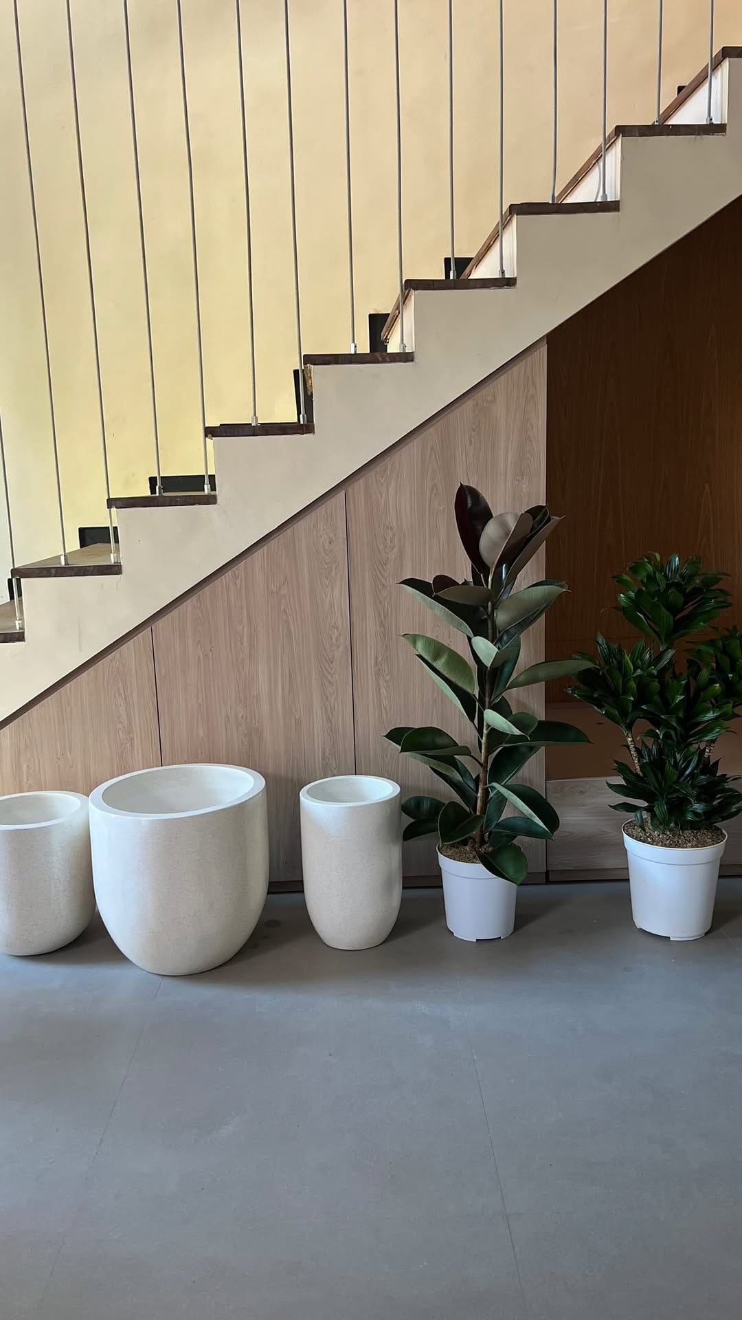 Post 1 by Bali Landscape & Indoor Plants 🌿 on Instagram (video)