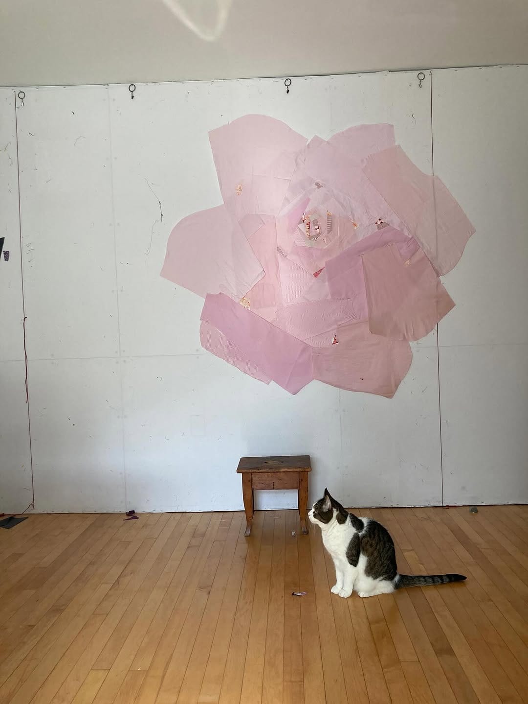 Post 9 by sarah nishiura on Instagram (image)