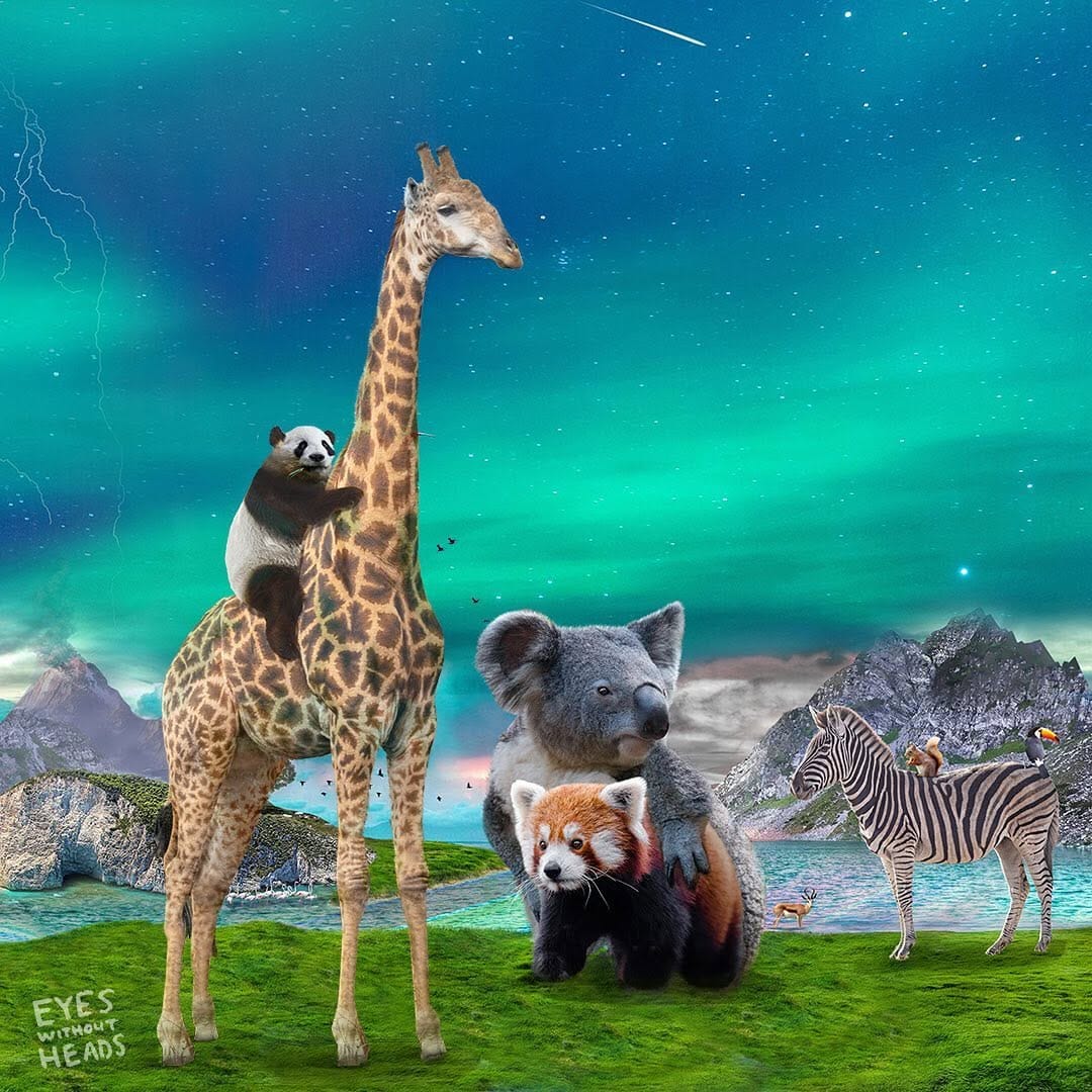 Post 6 by EYES without HEADS on Instagram (image)
