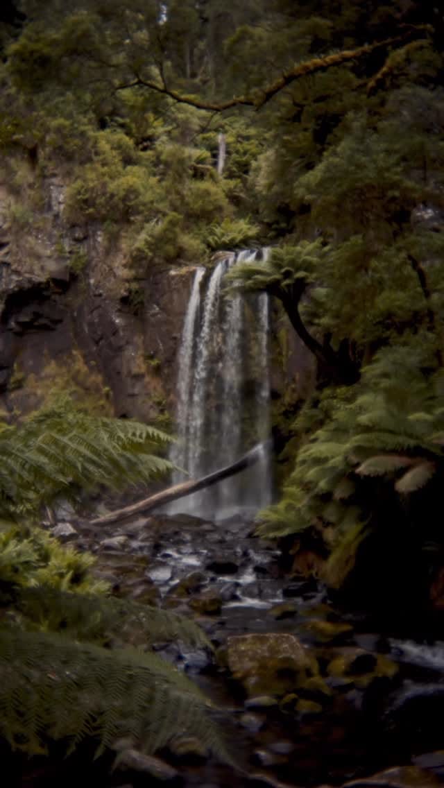 Post 1 by Rachel Borrello on Instagram (video)